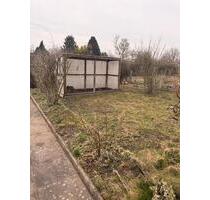 Garten mit Haus & Obstbäumen in Schwedt (Oder) – VB