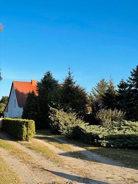 Foto - 4 Zimmer Einfamilienhaus in Wittenberg Lutherstadt