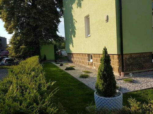 Foto - 4 Zimmer Etagenwohnung in Chemnitz