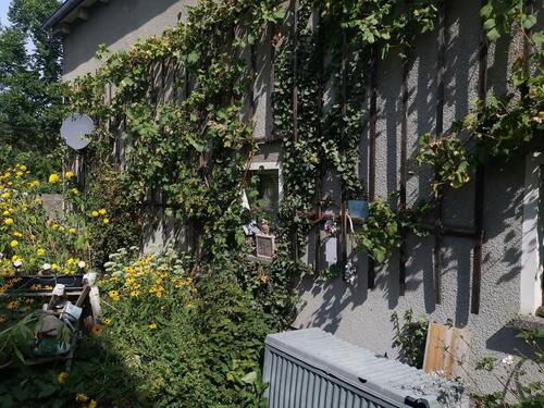 Foto - 4 Zimmer Einfamilienhaus in Radeburg