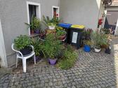 Foto - Einfamilienhaus in Radeburg zum Kaufen