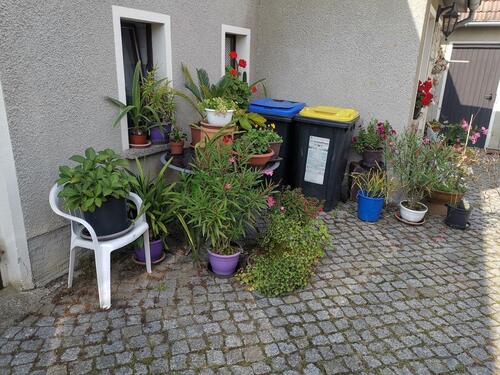 Foto - Einfamilienhaus in Radeburg zum Kaufen