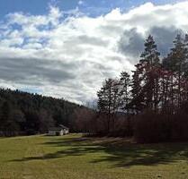 NATUR PUR... in idyllischer Fast - Aleinlage Nähe Happburg - Neumarkt in der Oberpfalz Altenhof