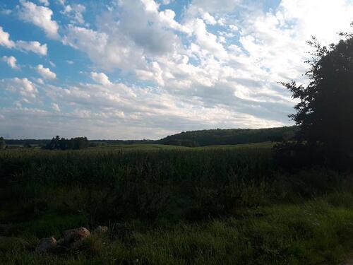 Foto - 3.5 Zimmer Einfamilienhaus in Prenzlau