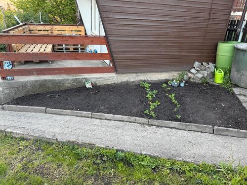 Foto - Grundstück in Freital