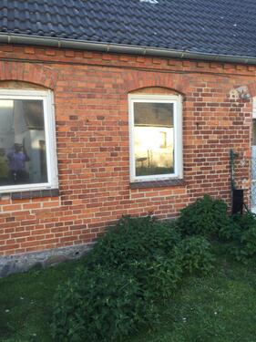 Foto - Einfamilienhaus in Neuburg zur Miete