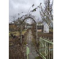 Kleingarten in Riesa (Pausitzer Delle) abzugeben