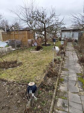 Foto - Grundst&uuml;ck zur Miete in Riesa