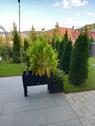 Foto - andere zur Miete in Bad Kissingen