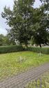 Foto - andere in Cottbus