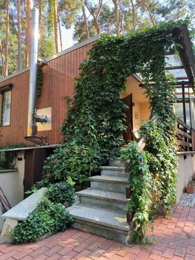 Foto - 1 Zimmer Bungalow zum Kaufen in Märkische Heide