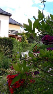 Foto - andere zur Miete in Dresden