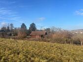 Foto - Garten, Freizeitgrundstück, Streuobstwiese