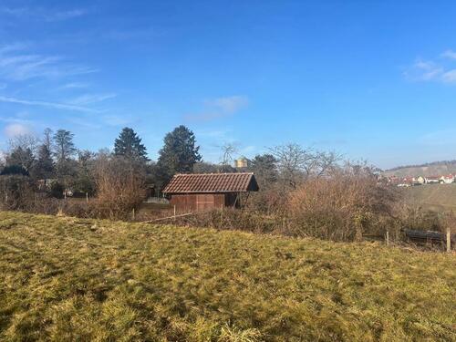 Foto - Garten, Freizeitgrundstück, Streuobstwiese