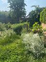 Foto - Einfamilienhaus in Aschersleben zum Kaufen