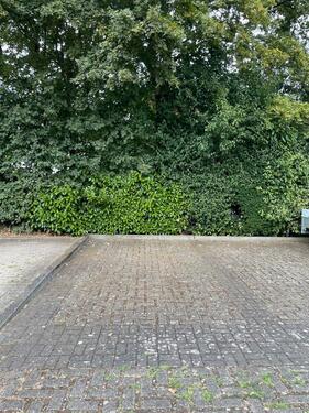 Foto - andere zur Miete in Köln