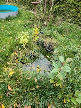 Foto - Grundstück zur Miete in Sennfeld