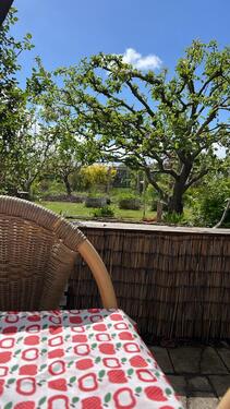 Foto - Kleingarten Greifswald ca. 700 qm