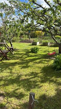 Foto - Grundst&uuml;ck zur Miete in Greifswald