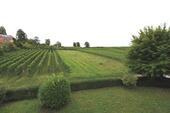 Foto - HN - Ost Top 3- Zimmer WHG, mit Einbauküche HN Melli-Beese-Str. direkt an den Weinbergen