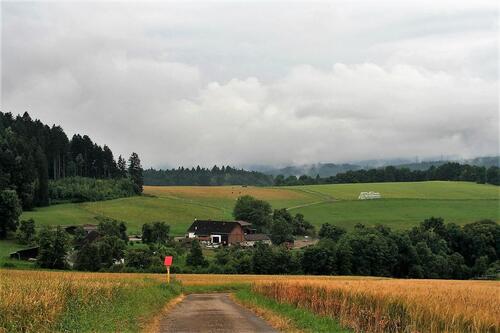 Foto - Landwirtschaftliches Anwesen - Pferdepension