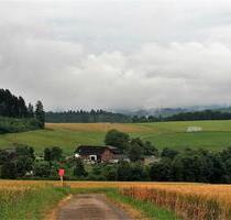 Landwirtschaftliches Anwesen - Pferdepension - Stühlingen
