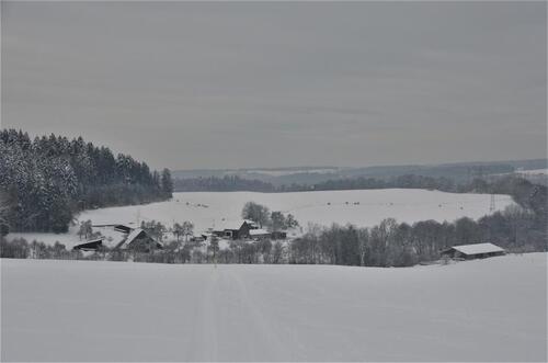 Foto - Einfamilienhaus zum Kaufen in Stühlingen