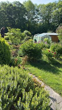 Foto - Grundst&uuml;ck in Aue-Bad Schlema zur Miete