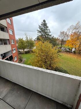 Foto - Heide, wohnen, wo andere Urlaub machen