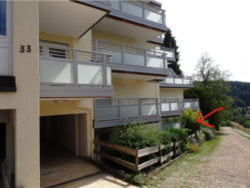 Foto - 2 Zimmer Etagenwohnung in Freudenstadt