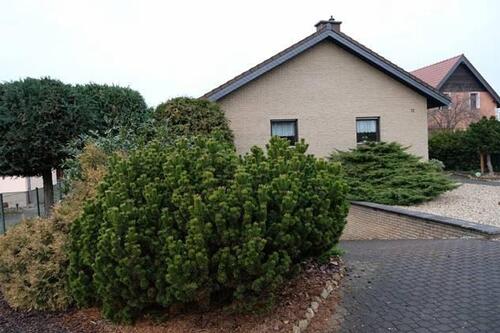 Foto - Bungalow mit Charme und Potenzial