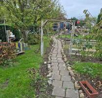 Kleingarten in Ribnitz- Damgarten - Ribnitz-Damgarten