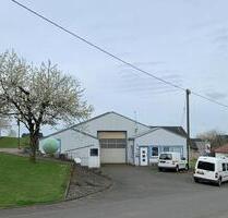 Gewerbehalle in Phillipsweiler zu vermieten. - Waxweiler