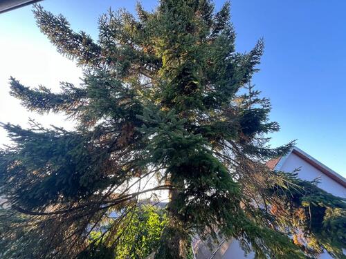 Foto - 7 Zimmer Einfamilienhaus zum Kaufen in Bad Friedrichshall