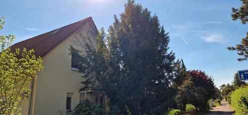 Foto - Einfamilienhaus in Salzatal zum Kaufen