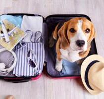 Ferienhaus Meinerzhagen 100 m², Hund(e) kostenlos