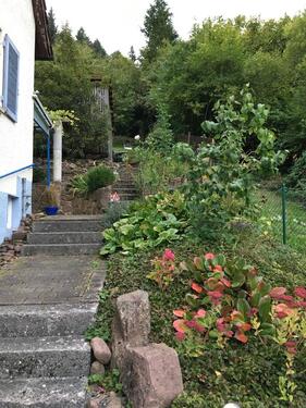 Foto - 2 Zimmer Terrassenwohnung zur Miete in Unterreichenbach