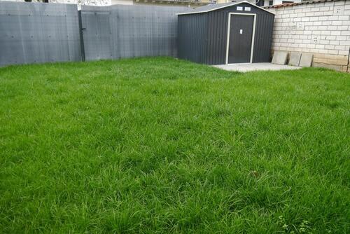 Foto - Etagenwohnung in Dittelbrunn zur Miete