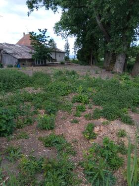 Foto - 6 Zimmer Einfamilienhaus in Wallersdorf