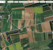 Feld zu verpachten, Wiese, Holzlagerplatz, Wackernheim Finthen - Ingelheim am Rhein