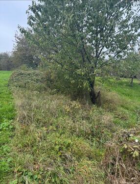 Foto - Grundst&uuml;ck zur Miete in Reutlingen