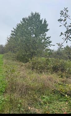 Foto - Grundst&uuml;ck in Reutlingen zur Miete