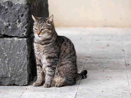 Foto - andere in Velbert