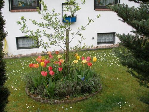 Foto - Einfamilienhaus mit 7 Zimmern - 275.000,00&nbsp;EUR Kaufpreis, ca.&nbsp; 215,00&nbsp;m&sup2;