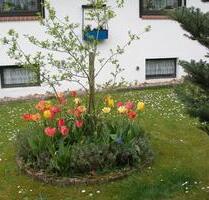 Einfamilienhaus mit 7 Zimmern - 275.000,00&nbsp;EUR Kaufpreis, ca.&nbsp; 215,00&nbsp;m&sup2; in Hitzacker (Elbe) (PLZ: 29456)