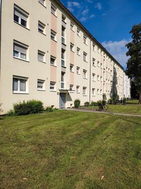 Foto - FRANKFURT AM MAINNÄHE DORNBUSCH