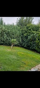 Foto - 3 Zimmer Etagenwohnung in Herxheim bei Landau/Pfalz