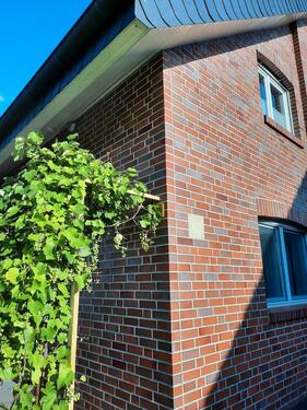 Foto - Moderne OG-Wohnung in Zweifamilienhaus im Musikerviertel