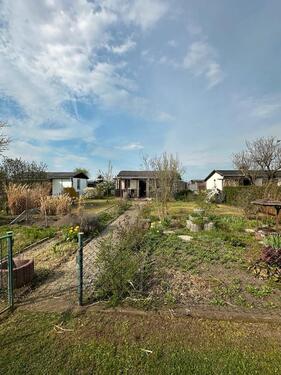 Foto - Kleingarten zur Pacht abzugeben