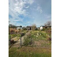 Kleingarten zur Pacht abzugeben - Amt Wachsenburg